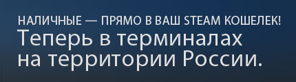 Steam в терминалах оплаты России